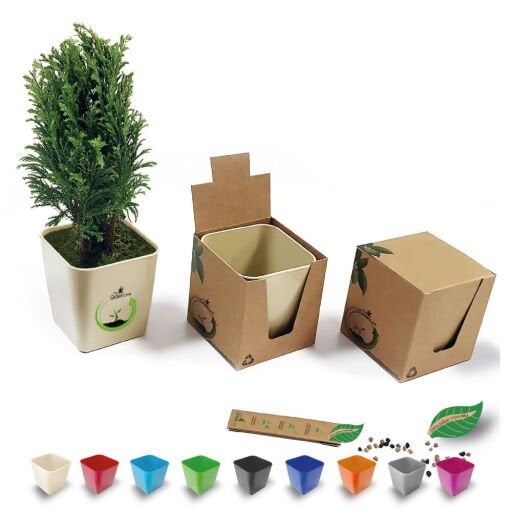 Bitki Yetiştirme Ve Bakımı