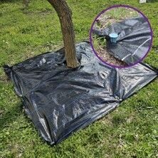 Ağaç Bakım ve Yetiştirme Ürünleri