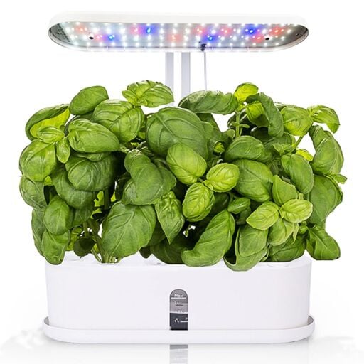 Bitki Yetiştirme Ürünleri