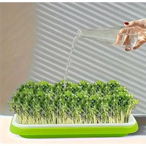 Tohum Yetiştirme ürünleri