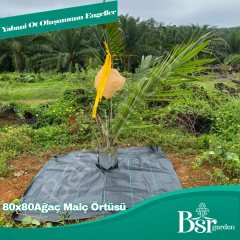 Ağaç Taban Örtüsü 80x80 1 Adet Bsr Garden