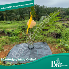 Ağaç Taban Örtüsü 80x80 5 Adet Bsr Garden