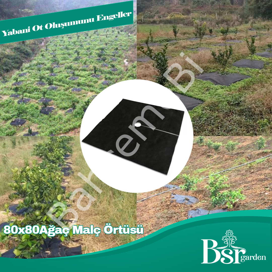 Ağaç Taban Örtüsü 80x80 10 Adet Bsr Garden