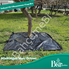 Ağaç Taban Örtüsü 80x80 10 Adet Bsr Garden
