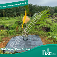 Ağaç Taban Örtüsü 80x80 10 Adet Bsr Garden