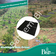 Ağaç Taban Örtüsü 80x80 50 Adet Bsr Garden