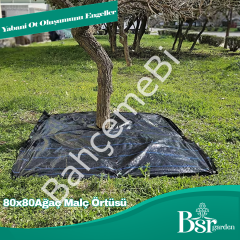 Ağaç Taban Örtüsü 80x80 50 Adet Bsr Garden