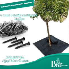 Ağaç Taban Örtüsü 160x160 1 Adet Bsr Garden