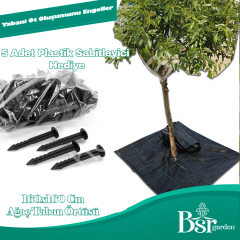 Ağaç Taban Örtüsü 160x160 5 Adet Bsr Garden