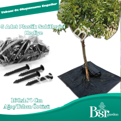 Ağaç Taban Örtüsü 160x160 50 Adet Bsr Garden
