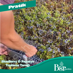 Papatya Ve Tıbbi Bitki Toplama Tarağı Metal Bsr Garden