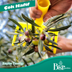 Zeytin Tarağı / Tırmığı 1 Adet Bsr Garden