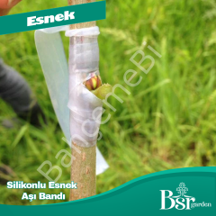 Bsr Garden Silikonlu Aşı Bandı 1 Rulo