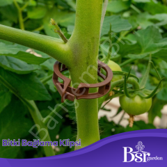 Bitki Klipsi - Domates Klipsi 250 Adet 25 Mm Gövde Sarmaşık Bitki Bağlama Kelepçesi, Kahverengi / Bsr Garden