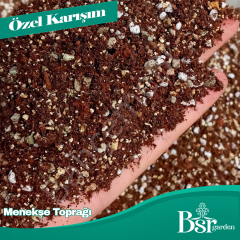 Menekşe Özel Toprağı 3 Litre Bsr Garden