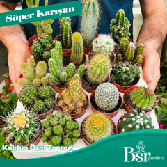 Kaktüs Özel Toprağı 3 Litre Bsr Garden