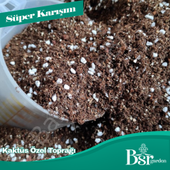 Kaktüs Özel Toprağı 3 Litre Bsr Garden