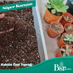 Kaktüs Özel Toprağı 3 Litre Bsr Garden