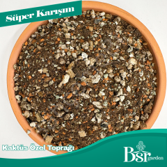 Kaktüs Özel Toprağı 3 Litre Bsr Garden