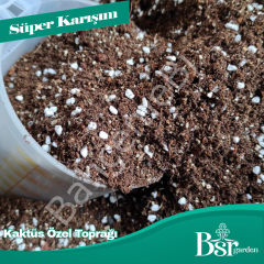 Sukulent Özel Toprağı 3 Litre Bsr Garden