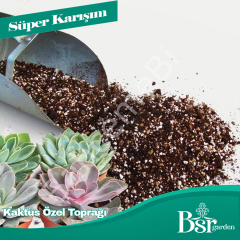 Sukulent Özel Toprağı 3 Litre Bsr Garden