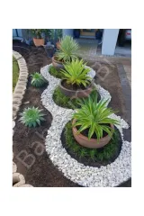 Esnek Ağaç Kenar Ayırıcı  Plastik 1 Metre Çap