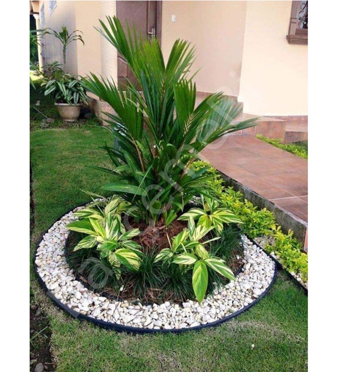 Esnek Ağaç Kenar Ayırıcı  Plastik 1 Metre Çap