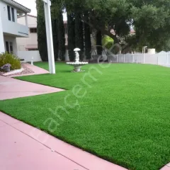 Çim Tohumu 6  Mix Grass Karışımı - 1 kg TohumBox