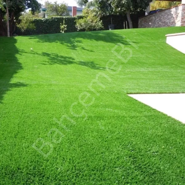 Çim Tohumu 7 Mix Grass Karışımı - 1 kg TohumBox