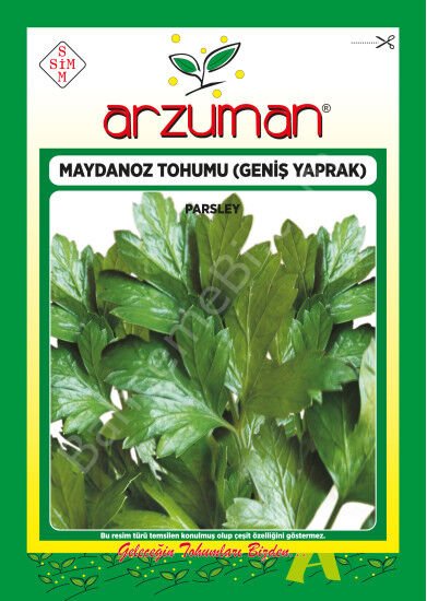 Arzuman Geniş Yaprak  Maydanoz Tohumu D’Giant Italiana / 25 Gr