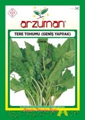 Arzuman Helen Tere Tohumu – 25 Gr