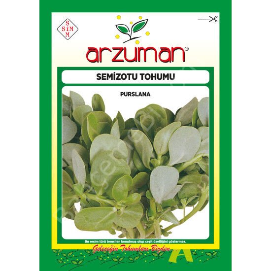 Arzuman Semizotu Tohumu – 10 Gr