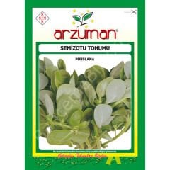 Arzuman Semizotu Tohumu – 10 Gr