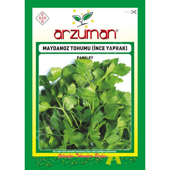 Arzuman İnce Yaprak Maydanoz Tohumu – 25 Gr