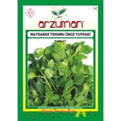 Arzuman İnce Yaprak Maydanoz Tohumu – 25 Gr