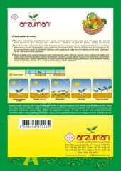 Arzuman Roka Tohumu Geniş Yaprak – 25 Gr