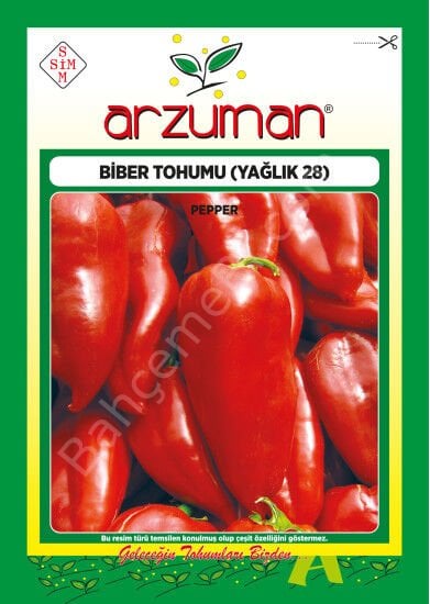 Arzuman Yağlık Kapya Biber Tohumu – 10 Gr