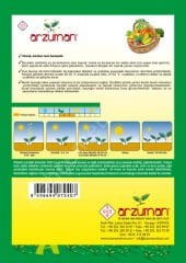 Kırkgünlük Atlantis Fasulye Tohumu – 50 Gr – Arzuman