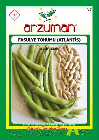 Kırkgünlük Atlantis Fasulye Tohumu – 50 Gr – Arzuman