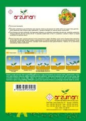 Çilli Kız Fasulye Tohumu – 50 Gr – Arzuman