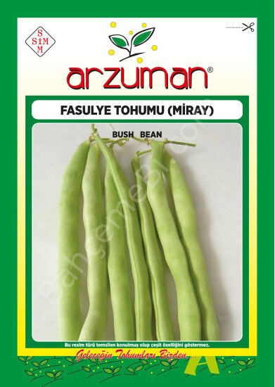 Miray - Magnum Tipi Fasulye Tohumu – 50 Gr – Arzuman