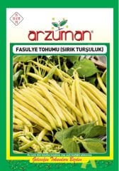Turşuluk Sırık Fasulye Tohumu (Hanımtenı) – 50 Gr – Arzuman