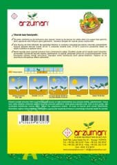 Turşuluk Fasulye Tohumu (Hanımeli) – 50 Gr – Arzuman