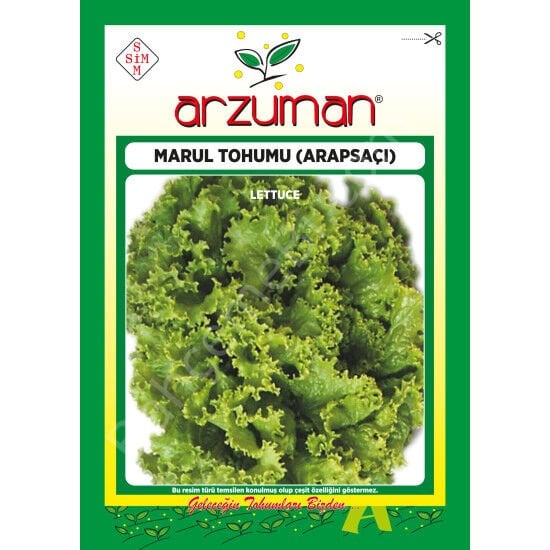 Arapsaçı Kıvırcık Marul Tohumu 10 Gr Arzuman