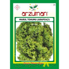Arapsaçı Kıvırcık Marul Tohumu 10 Gr Arzuman