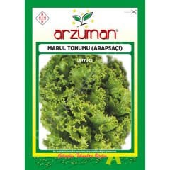 Arapsaçı Kıvırcık Marul Tohumu 10 Gr Arzuman