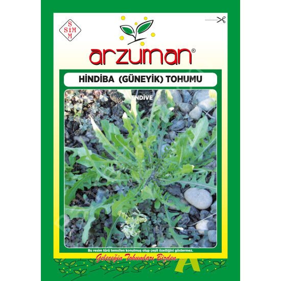 Hindiba (Güneyik) Tohumu 5 Gr Arzuman