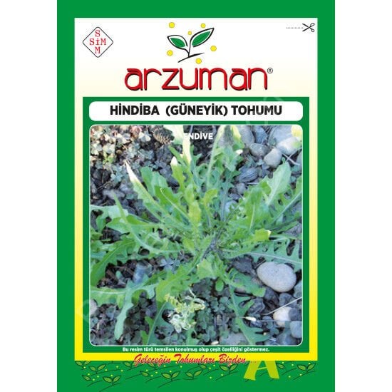 Hindiba (Güneyik) Tohumu 5 Gr Arzuman