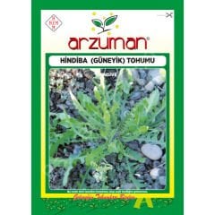 Hindiba (Güneyik) Tohumu 5 Gr Arzuman