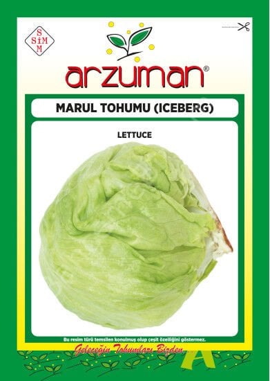 Iceberg Marul Tohumu 1000 Ad Arzuman